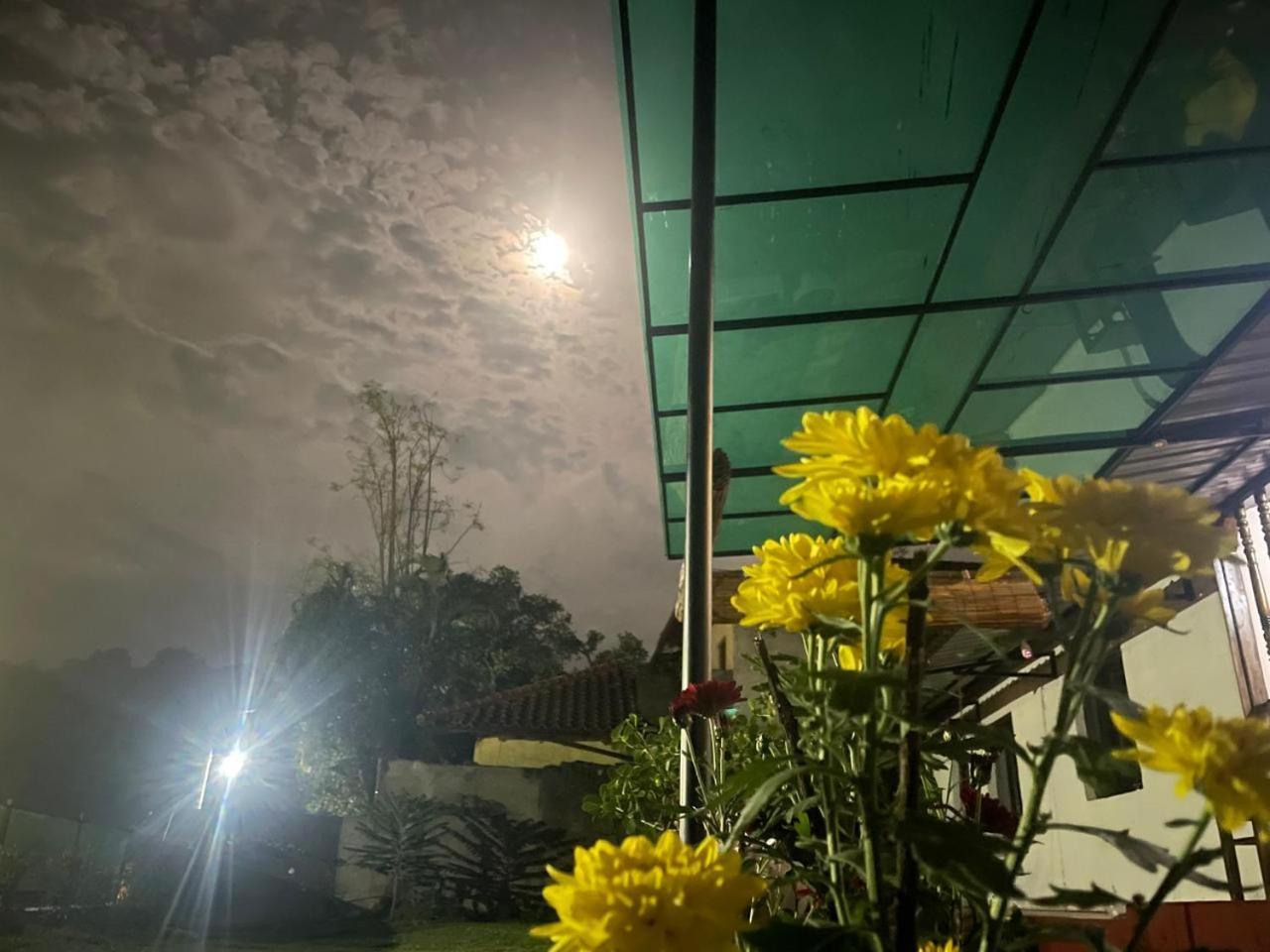 Lake Classical Guest House Kandy Bagian luar foto